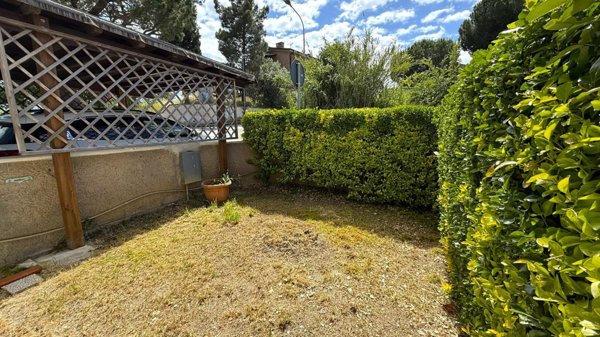 casa indipendente in vendita a Montescudaio