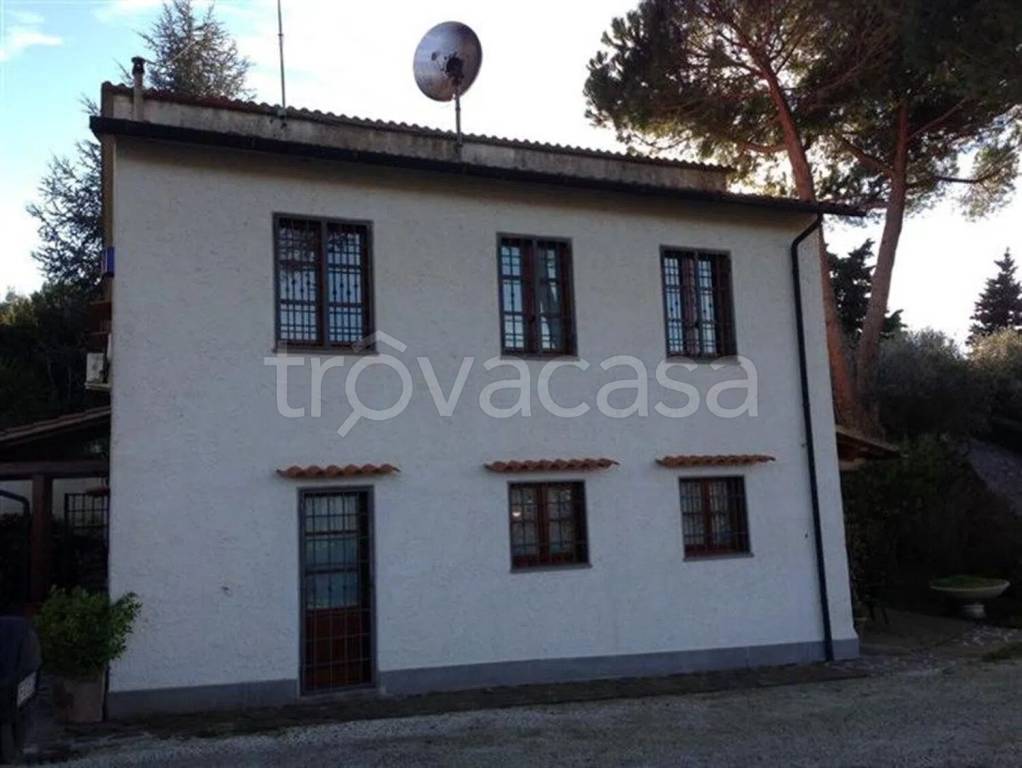 casa indipendente in vendita a Montescudaio
