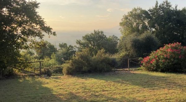 casa indipendente in vendita a Montescudaio
