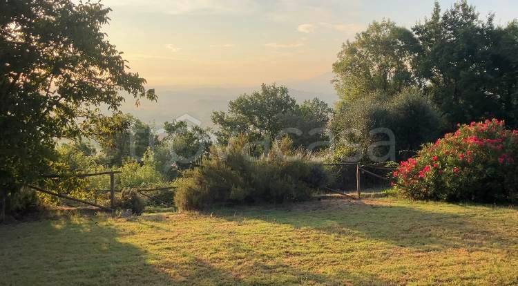 casa indipendente in vendita a Montescudaio
