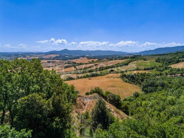 casa indipendente in vendita a Montescudaio