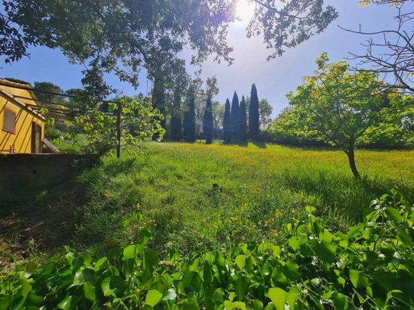 casa indipendente in vendita a Montescudaio