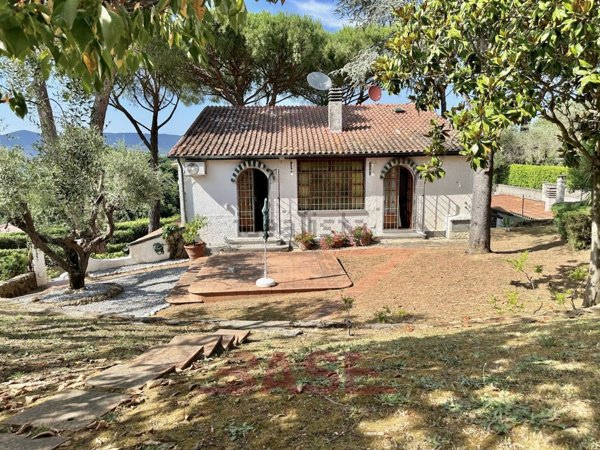 casa indipendente in vendita a Montescudaio