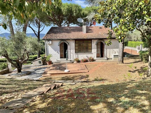 casa indipendente in vendita a Montescudaio
