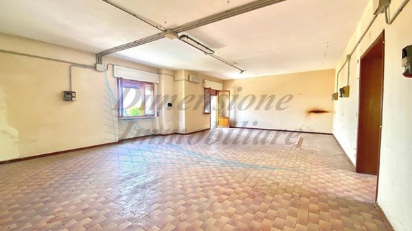 casa indipendente in vendita a Montescudaio