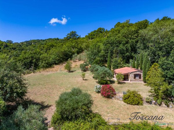 casa indipendente in vendita a Montescudaio