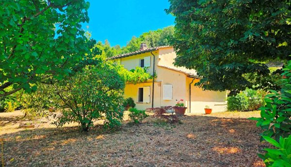 casa indipendente in vendita a Montescudaio