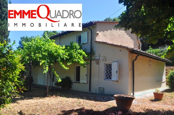 esavano in vendita a Montescudaio