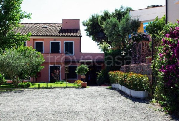 negozio in vendita a Montescudaio