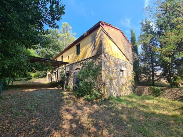 casa indipendente in vendita a Montescudaio
