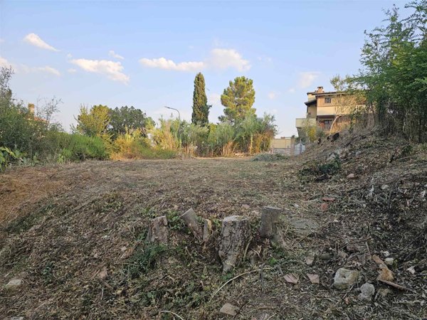 appartamento in vendita a Montescudaio