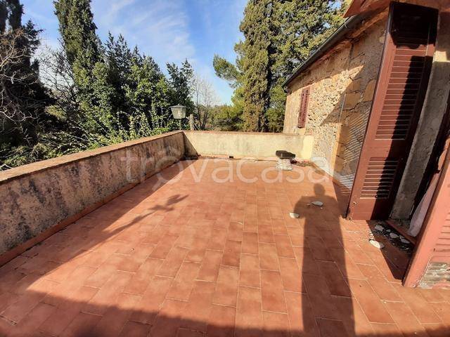 casa indipendente in vendita a Montescudaio