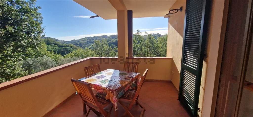 appartamento in vendita a Montescudaio