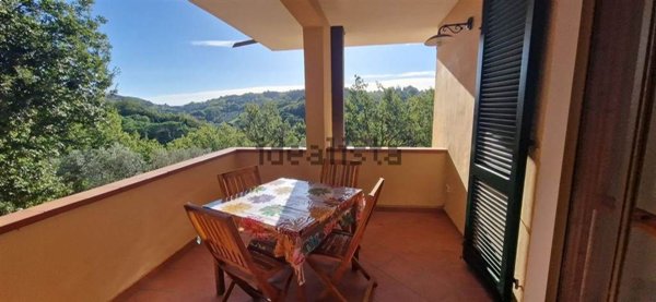 appartamento in vendita a Montescudaio