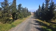 casa indipendente in vendita a Montescudaio
