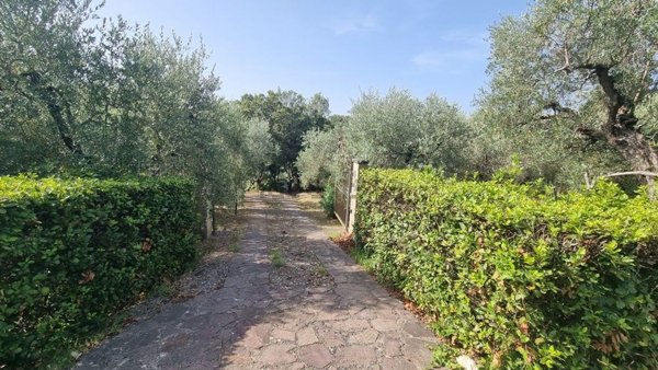 appartamento in vendita a Montescudaio