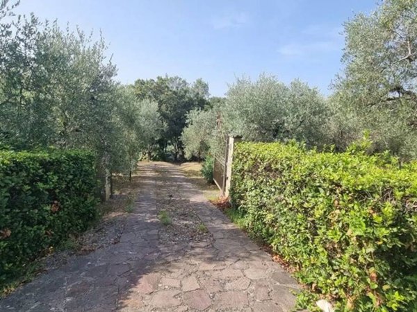 appartamento in vendita a Montescudaio