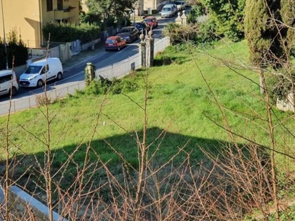 terreno agricolo in vendita a Montescudaio