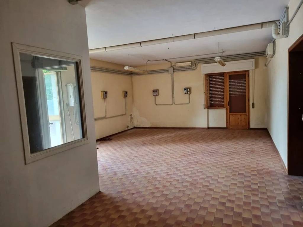 negozio in vendita a Montescudaio