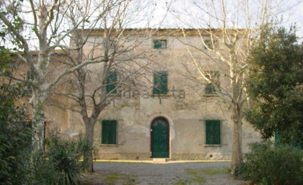 casa indipendente in vendita a Montescudaio