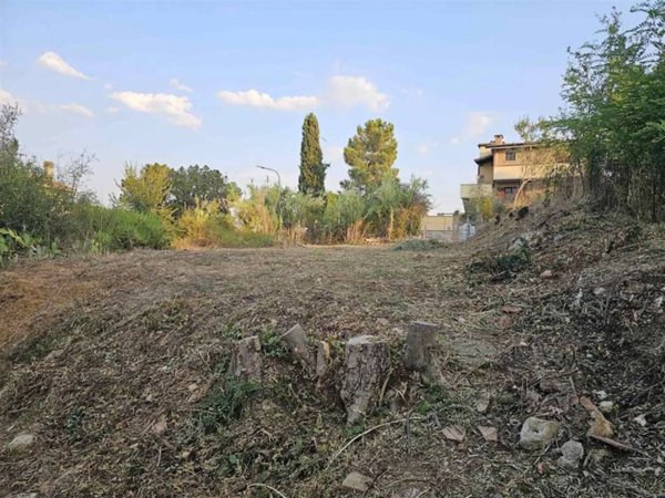 casa semindipendente in vendita a Montescudaio