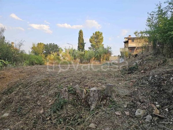 appartamento in vendita a Montescudaio