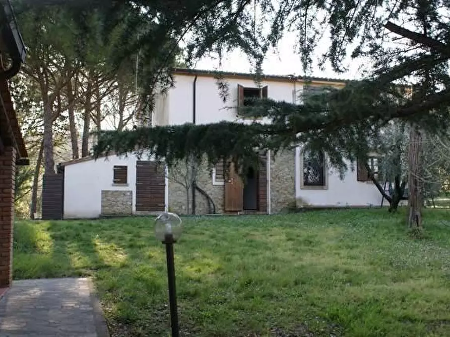 casa indipendente in vendita a Montescudaio
