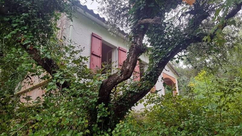 casa indipendente in vendita a Montescudaio