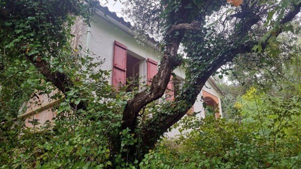 casa indipendente in vendita a Montescudaio