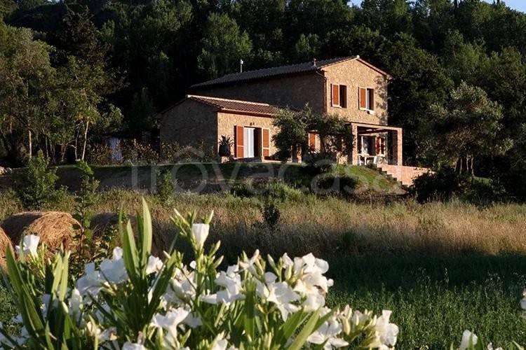 casa indipendente in vendita a Montescudaio