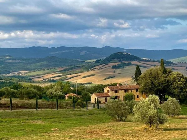 appartamento in vendita a Montescudaio