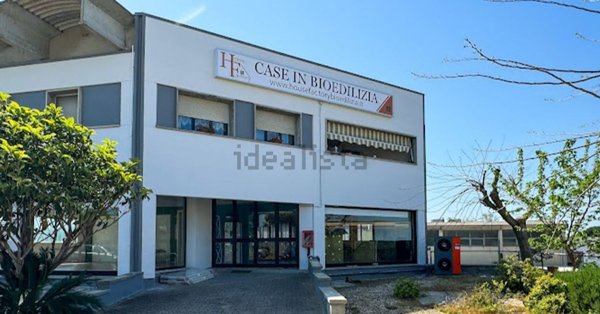 locale commerciale in vendita a Montescudaio