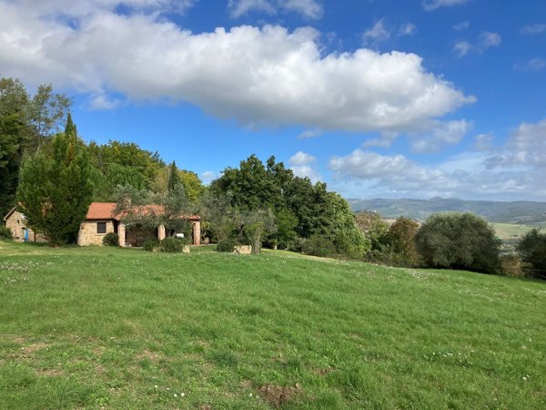 casa indipendente in vendita a Montescudaio