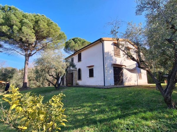casa indipendente in vendita a Montescudaio