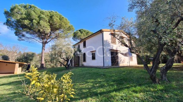 casa indipendente in vendita a Montescudaio
