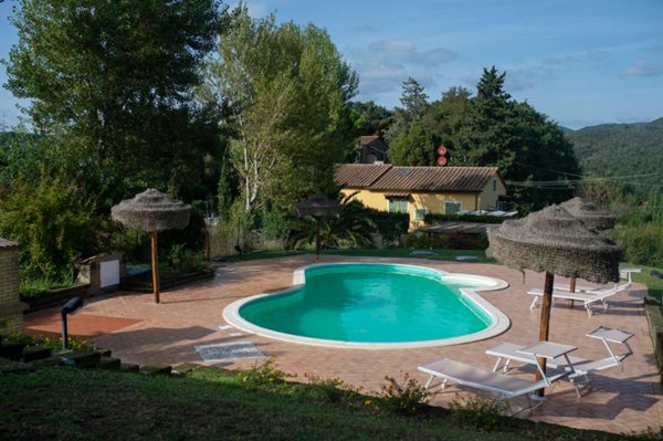 casa indipendente in vendita a Montescudaio