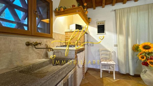 casa indipendente in vendita a Montescudaio