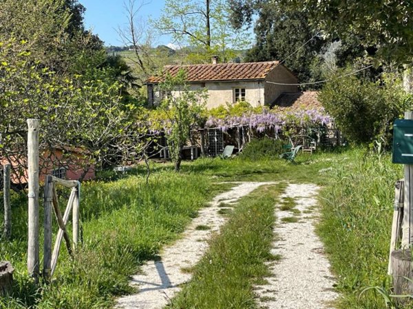 casa indipendente in vendita a Montescudaio