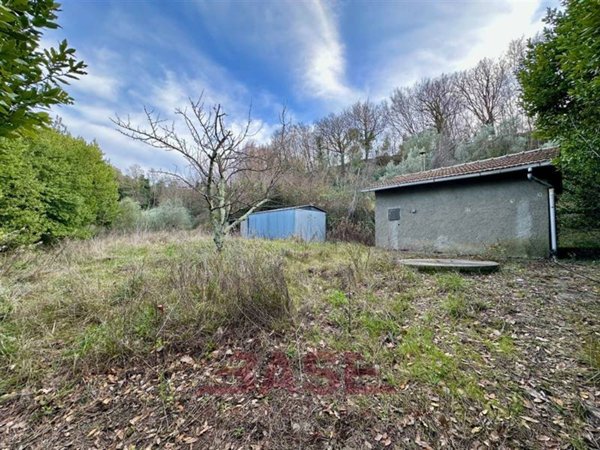 casa indipendente in vendita a Montescudaio