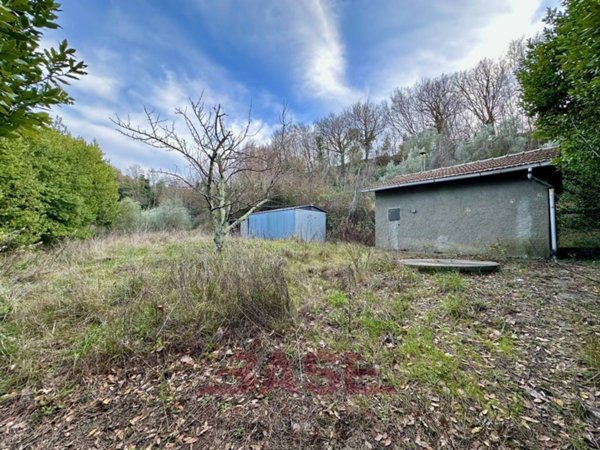 casa indipendente in vendita a Montescudaio