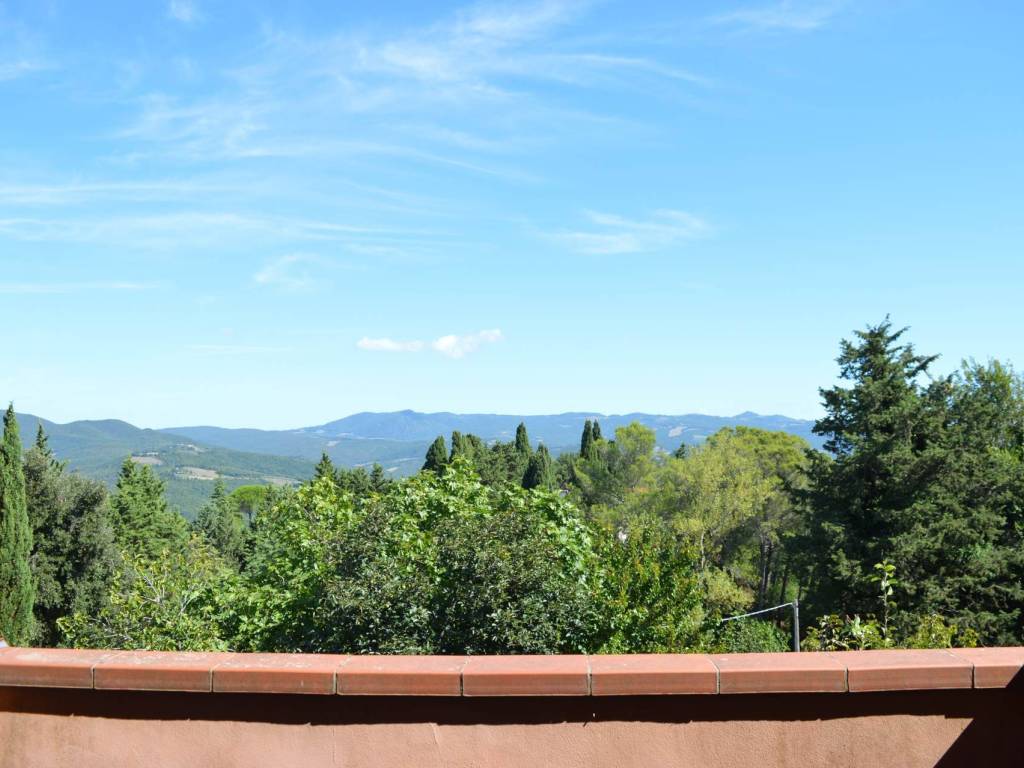 appartamento in vendita a Montescudaio