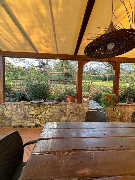 casa indipendente in vendita a Montescudaio