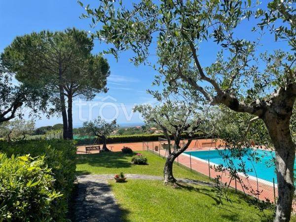 appartamento in vendita a Montescudaio