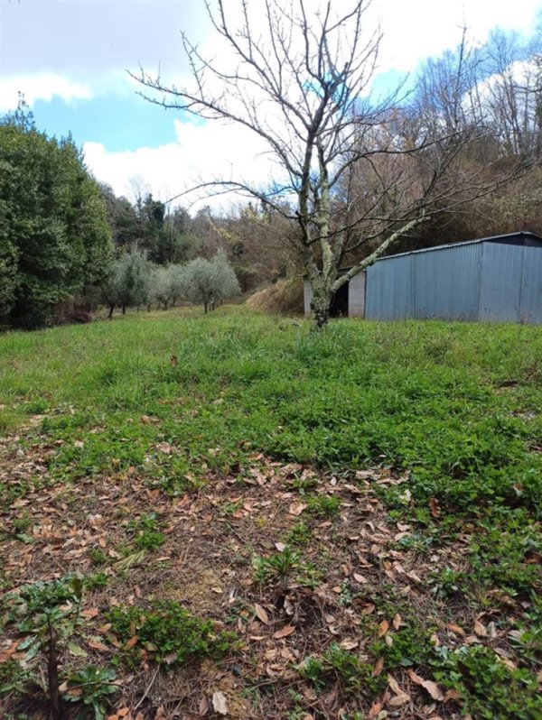 appartamento in vendita a Montescudaio