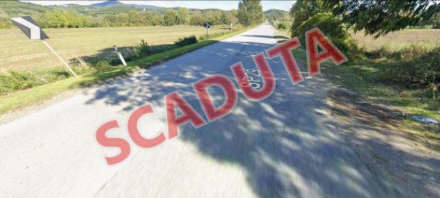 terreno agricolo in vendita a Montescudaio