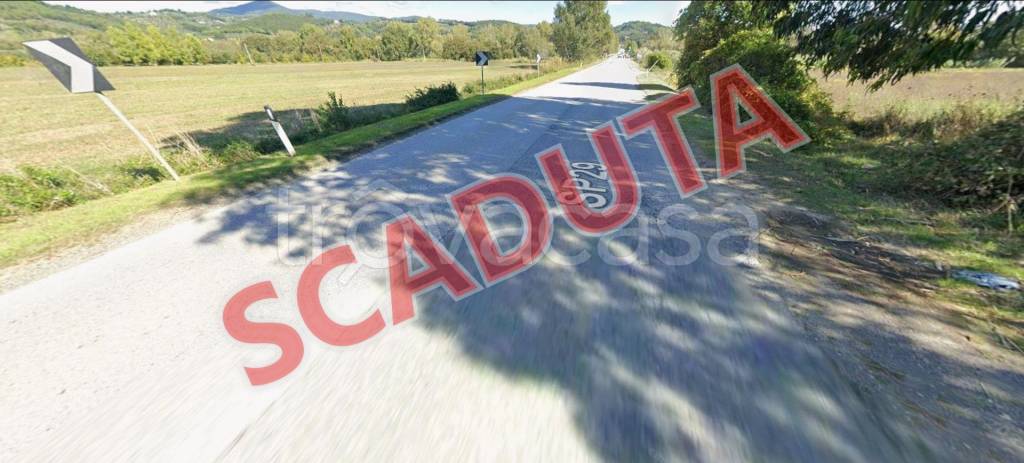 terreno agricolo in vendita a Montescudaio in zona Casa Ceciaia