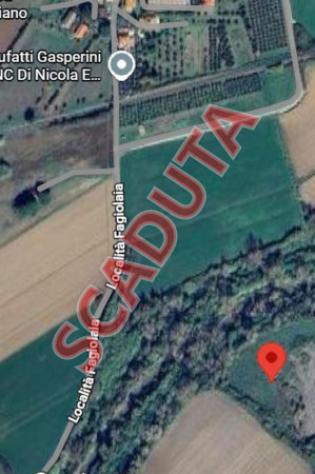 terreno agricolo in vendita a Montescudaio