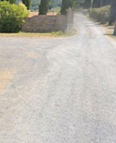 terreno agricolo in vendita a Montescudaio