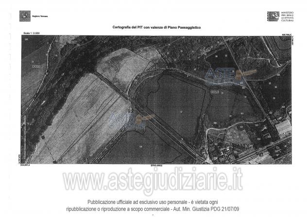 terreno agricolo in vendita a Montescudaio