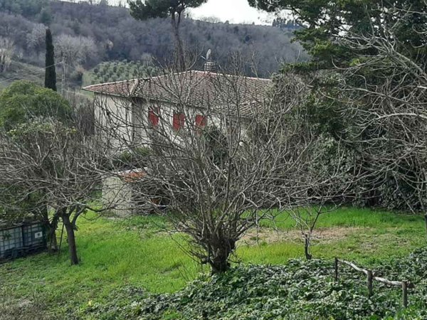 casa indipendente in vendita a Montescudaio